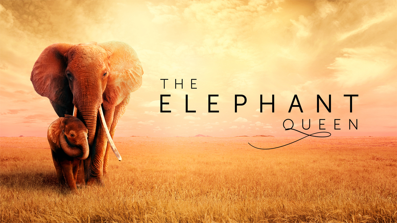 Apple TV+ Titelbildschirm für "The Elephant Queen".
