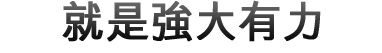 Lion 的功能