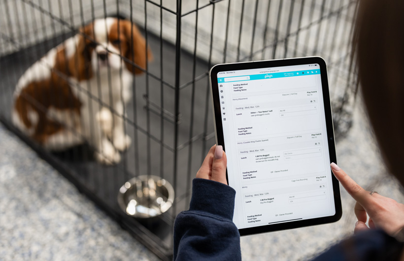 Az iPad lehetővé teszi a gondozók számára, hogy a Gingr nevű állatgondozási menedzsment alkalmazás segítségével valós időben frissítsék a kedvencek állapotát, például a táp- és gyógyszerbevitelt.